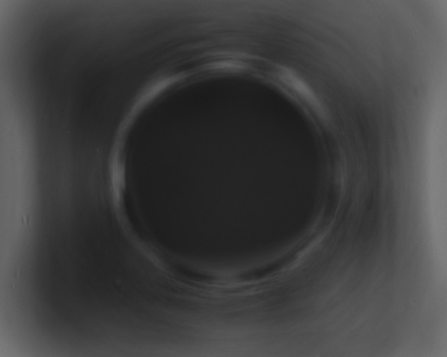 X0000101481323200807071455