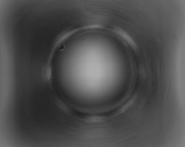 X0000101481324200807071455