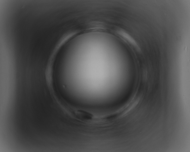 X0000101481325200807071456