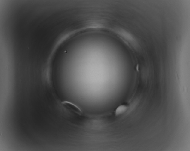 X0000101481326200807071456