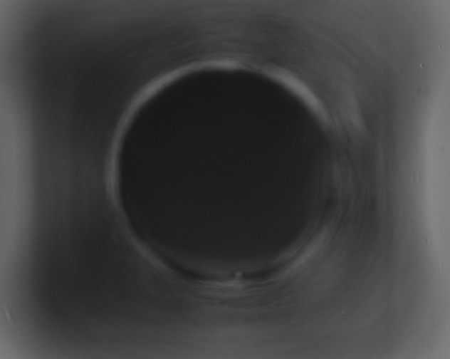 X0000101481327200807071456