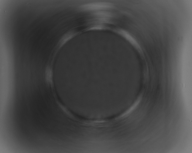 X0000101481329200807071456