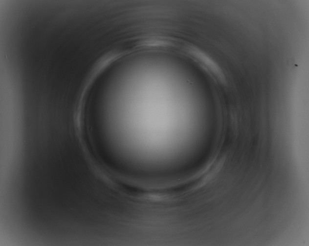 X0000101481330200807071456