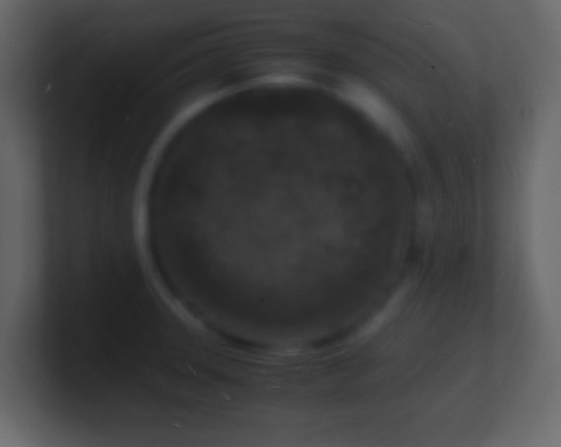 X0000101481331200807071456