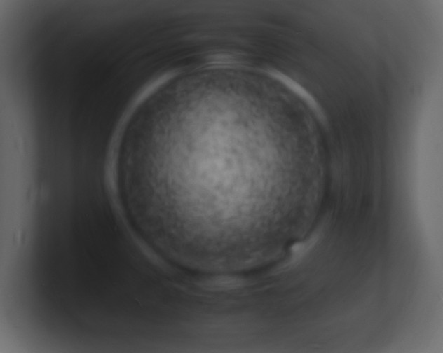 X0000101481333200807071456