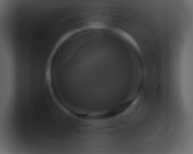 X0000101481334200807071456