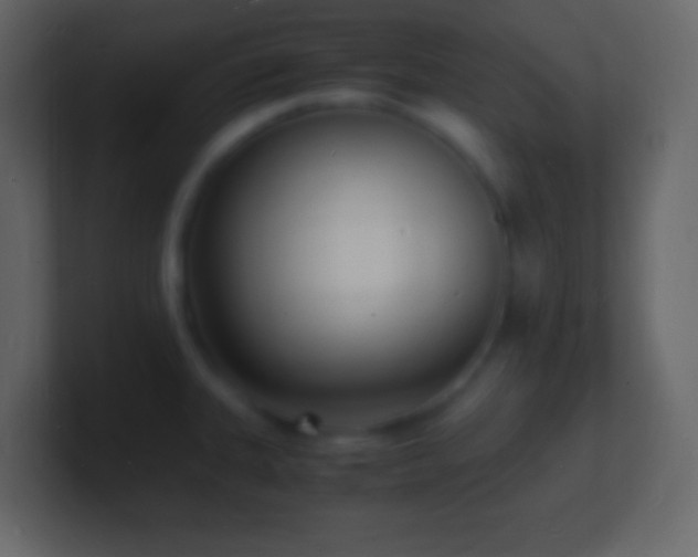 X0000101481335200807071456