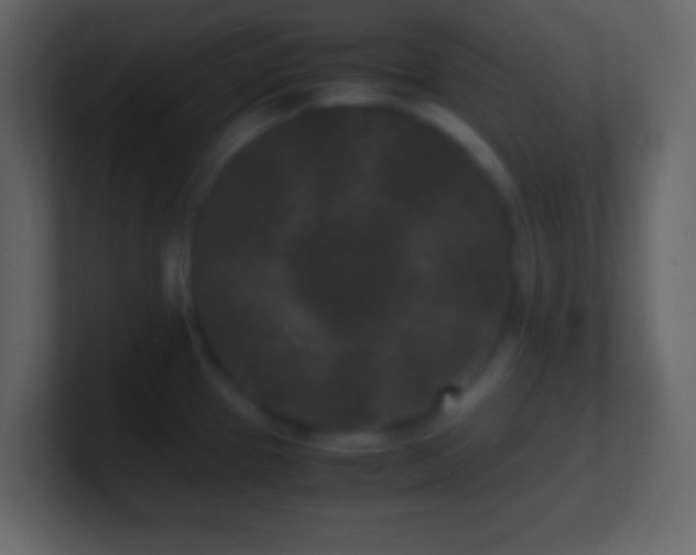 X0000101481337200807071456