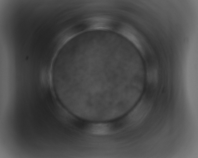 X0000101481338200807071456