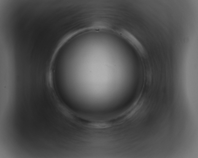 X0000101481340200807071456