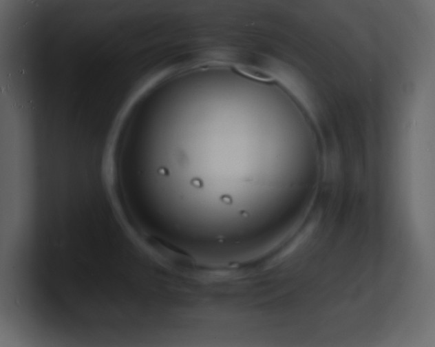 X0000101481341200807071456