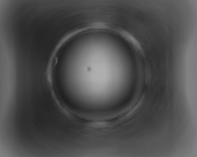 X0000101481342200807071456