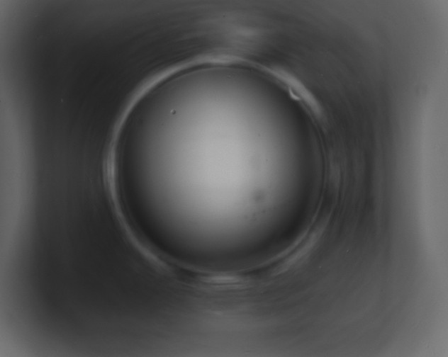 X0000101481343200807071456