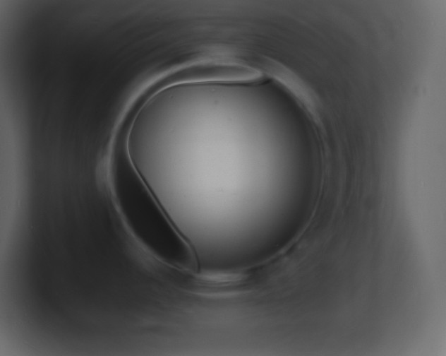 X0000101481344200807071456
