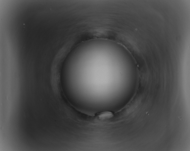 X0000101481345200807071455