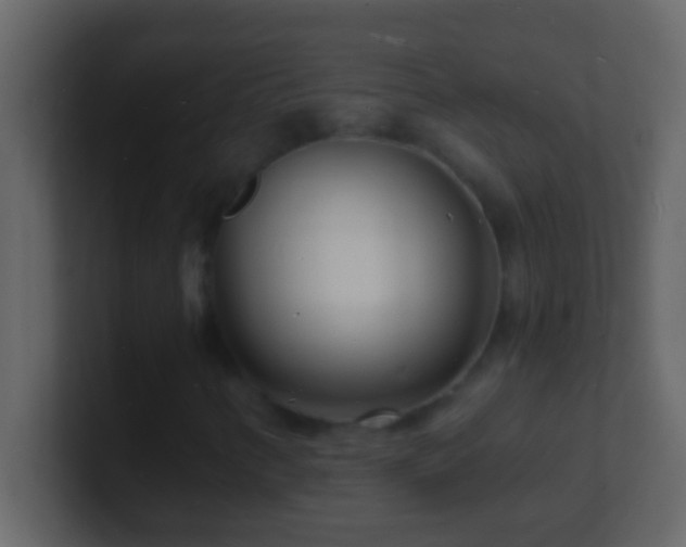 X0000101481346200807071455