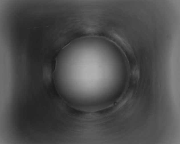 X0000101481348200807071455