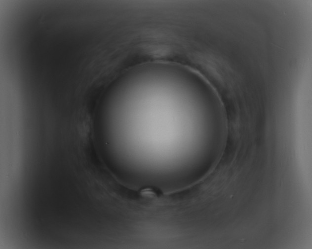 X0000101481349200807071455