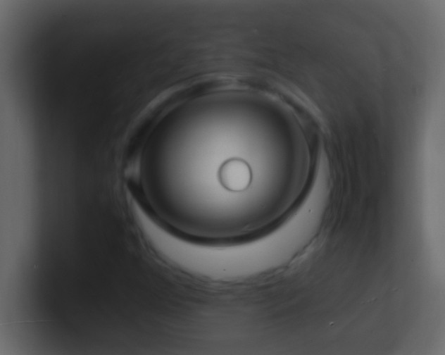 X0000101481352200807071455