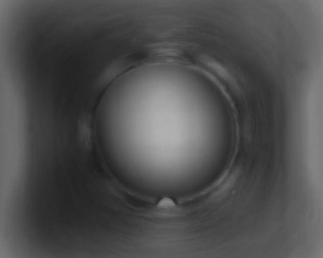 X0000101481354200807071455