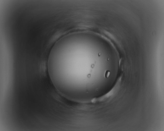 X0000101481355200807071455