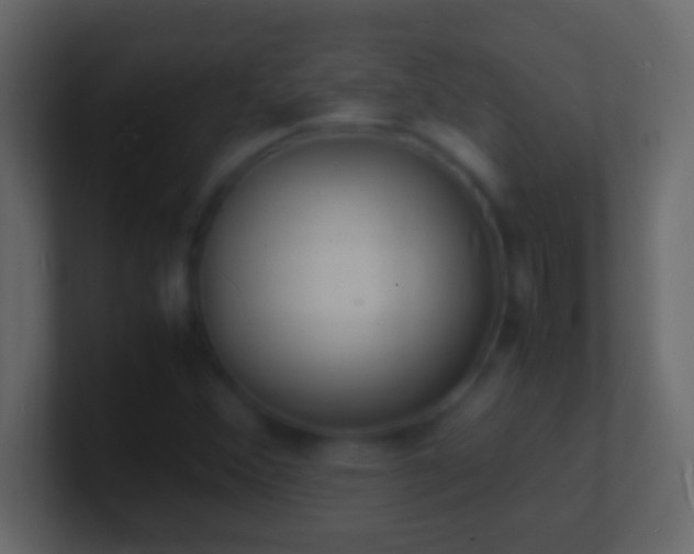X0000101481356200807071455