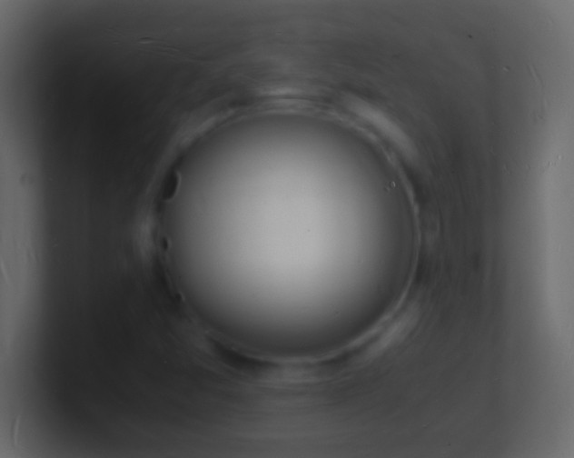 X0000101481357200807071455