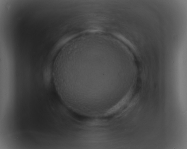 X0000101481359200807071455