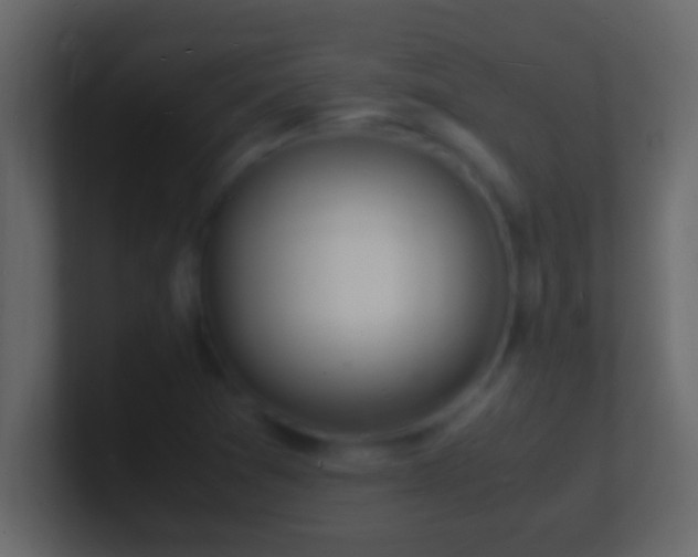 X0000101481361200807071455