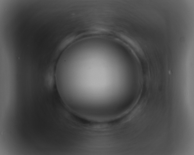 X0000101481363200807071455