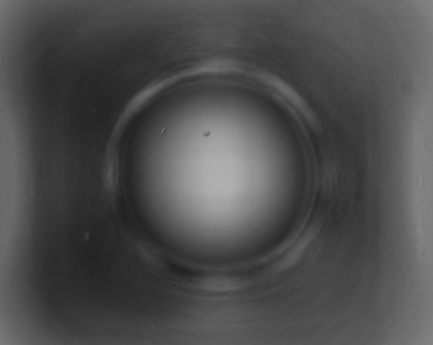 X0000101481366200807071455