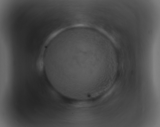 X0000101481367200807071455