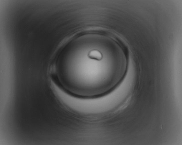 X0000101481369200807071455