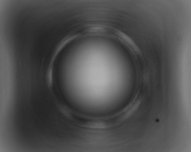X0000101481370200807071455