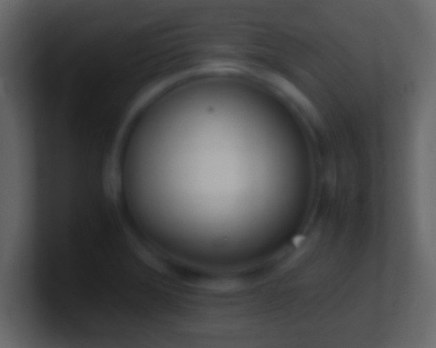 X0000101481372200807071455
