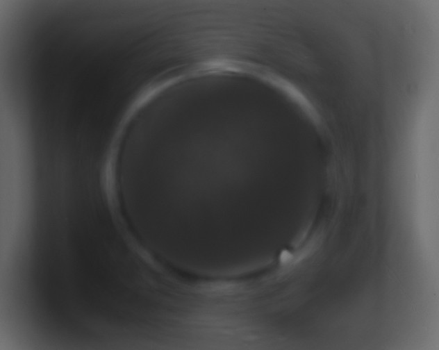 X0000101481373200807071455