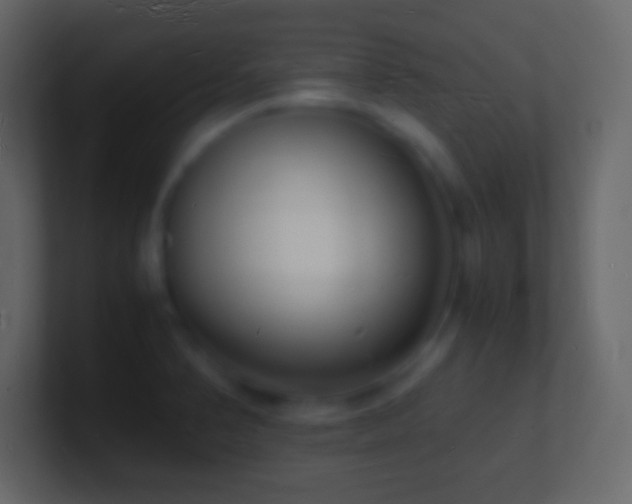 X0000101481374200807071455