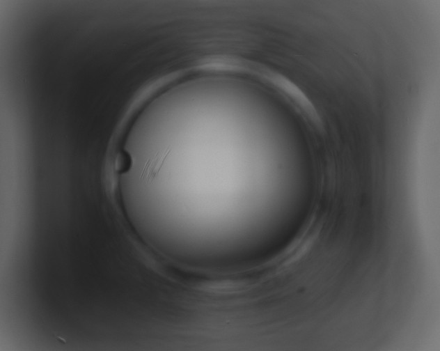 X0000101481376200807071455