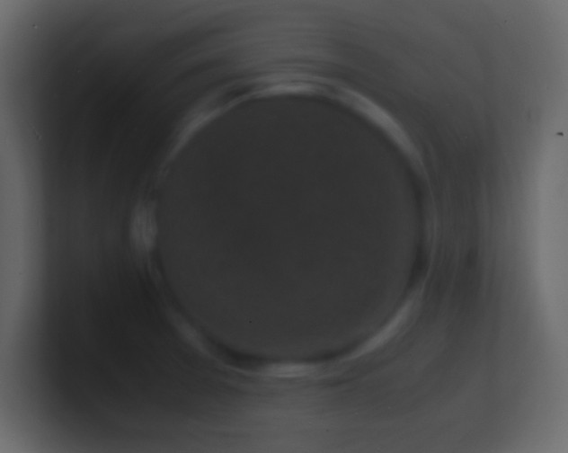 X0000101481377200807071455