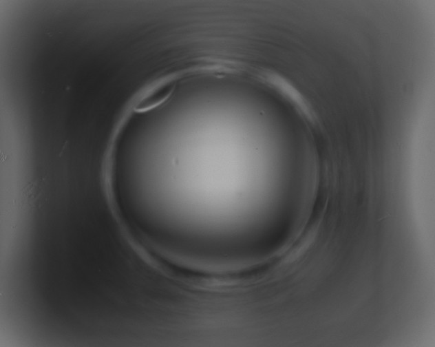 X0000101481379200807071455