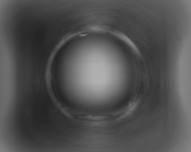 X0000101481381200807071455