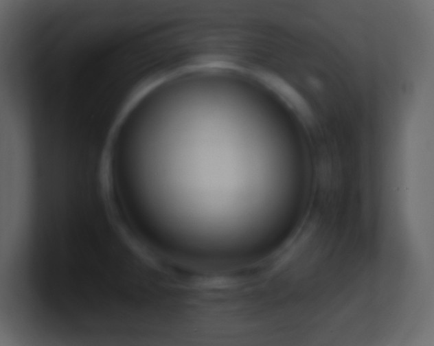 X0000101481382200807071455