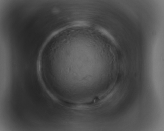 X0000101481383200807071455