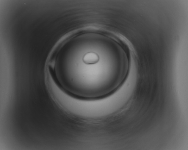 X0000101481384200807071455