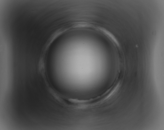 X0000101481385200807071455