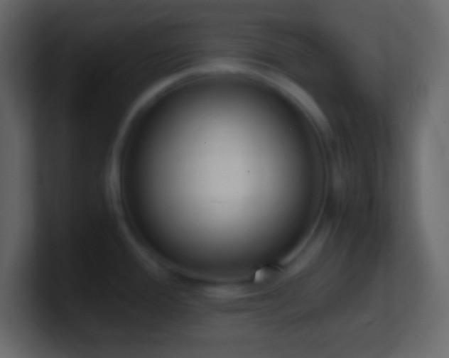 X0000101481388200807071455