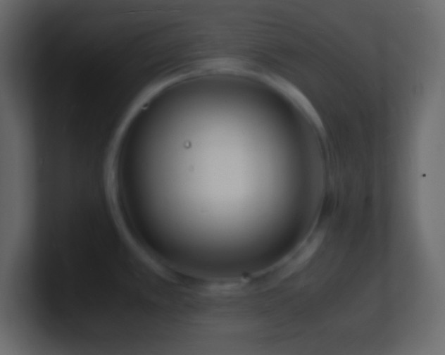 X0000101481389200807071455