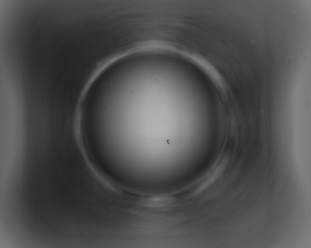 X0000101481390200807071455