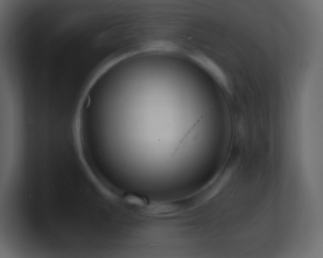 X0000101481391200807071455