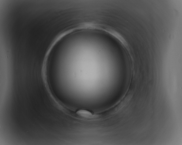 X0000101481392200807071455